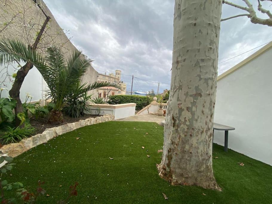 Apartment Rez De Jardin Vue